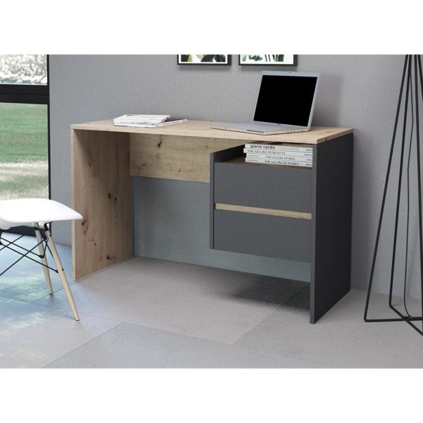 secretaria paco 2